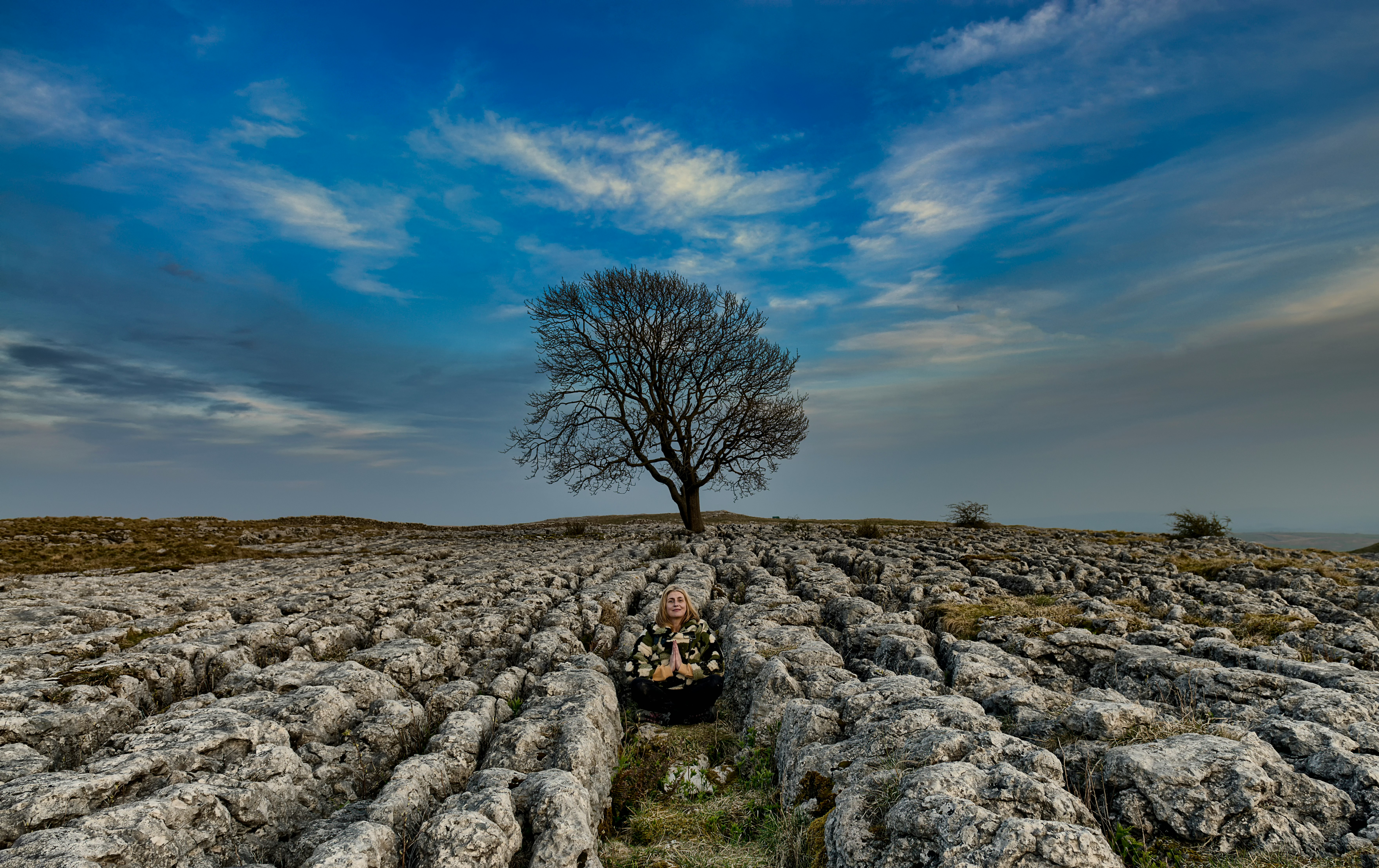 group of white sheep and woman on center